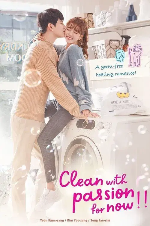 Poster for Clean with Passion for Now