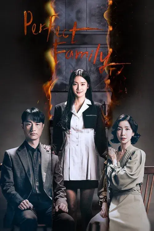 Poster for Perfect Family