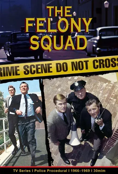 Poster for Felony Squad