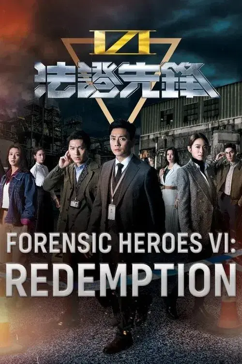 Poster for Forensic Heroes VI