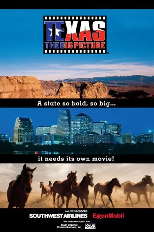 Poster for Texas: The Big Picture