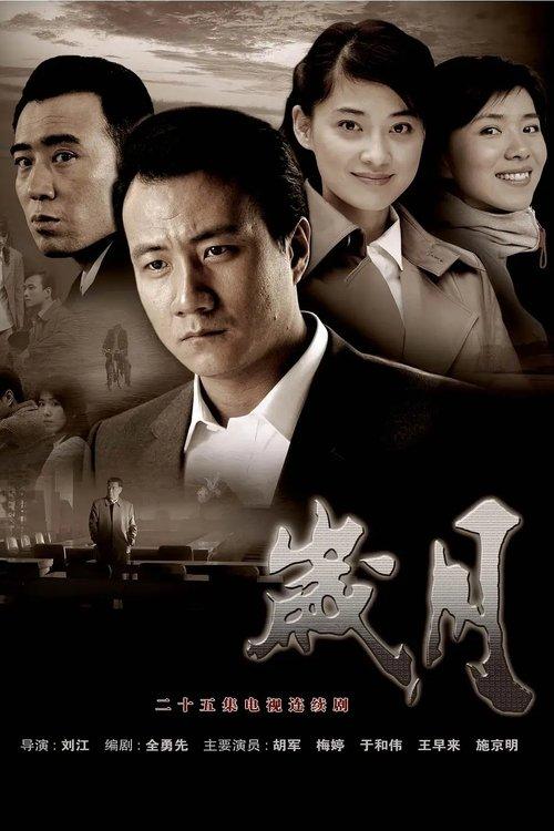 Poster for 岁月