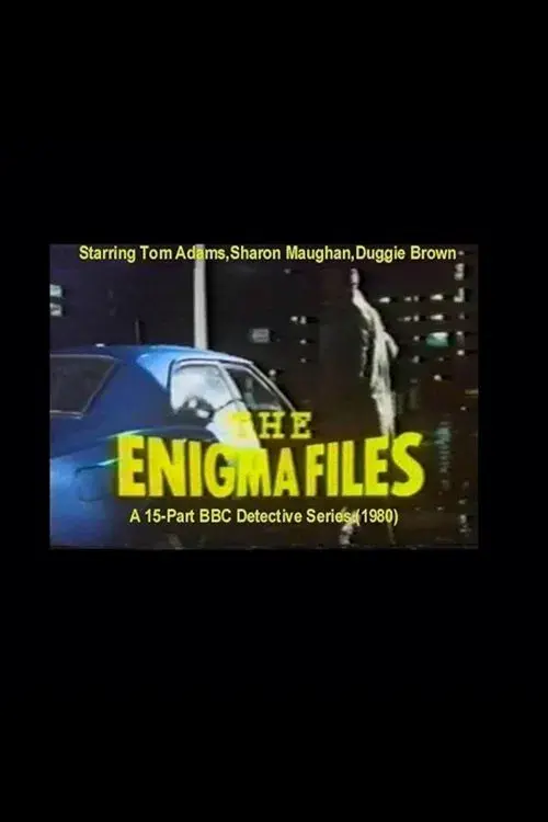 Poster for The Enigma Files