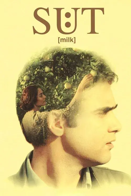 Poster for Milk