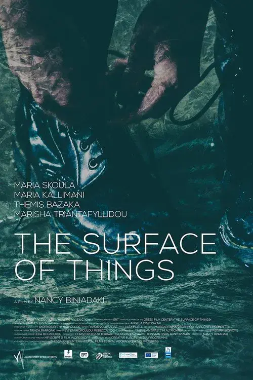 Poster for The Surface of Things