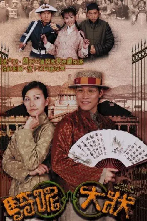 Poster for A Case of Misadventure