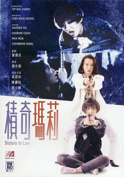 Poster for Sisters In Law