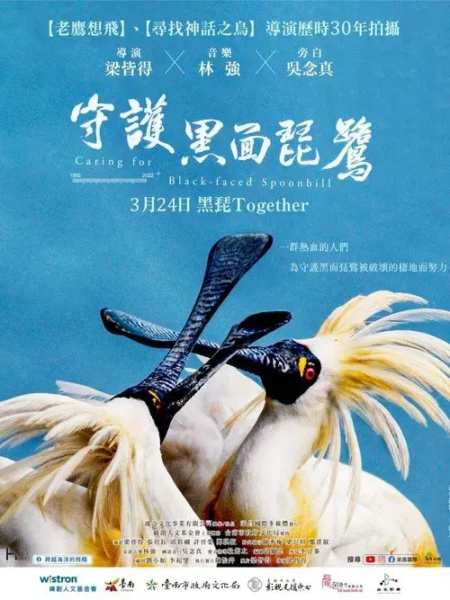 Poster for Caring for Black-Faced Spoonbill